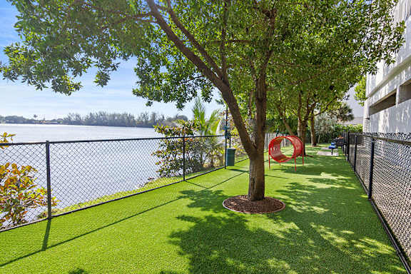 Pet Friendly Miami Apartments - LaVida Apartments - Dog Park