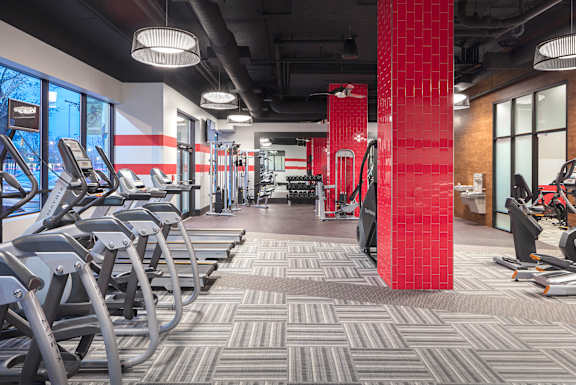 A gym with treadmills, weights and exercise machines.