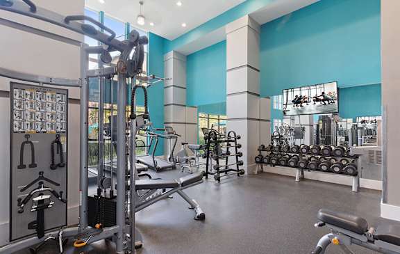 A gym with a variety of equipment including weights and cardio machines.