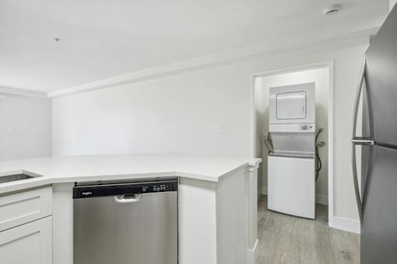 A kitchen with a dishwasher and a refrigerator.