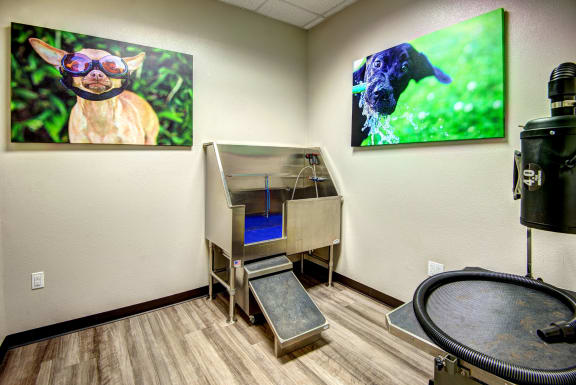 Solara dog washing station