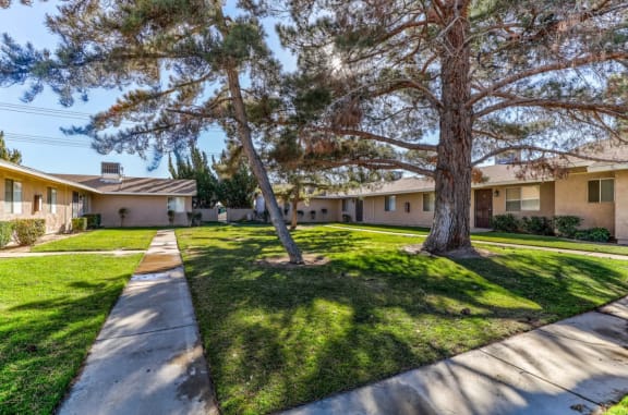a yard with trees and a sidewalk in front of a house at Aspire Seneca, Victorville, 92392