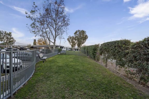 a grassy area with a fence on the side of it at Aspire Corona, Corona, California