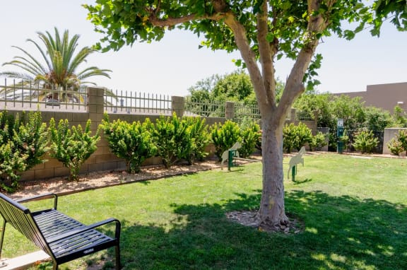 a park with a tree and benches in the grass at Aspire Rialto Apartments, Rialto
