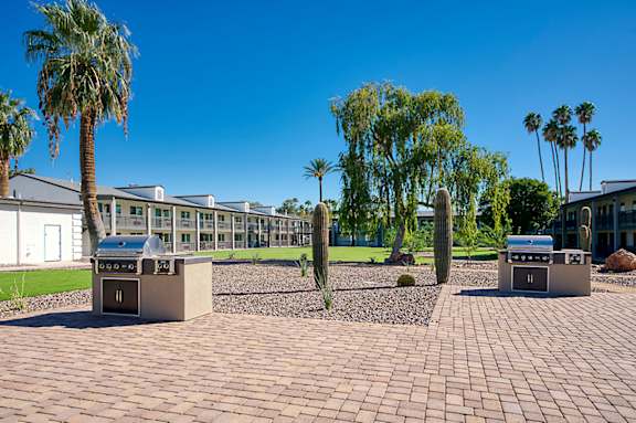 A sunny day at a courtyard with palm trees and a building in the background.