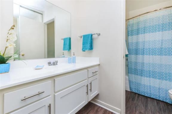 a bathroom with a blue and white shower curtain