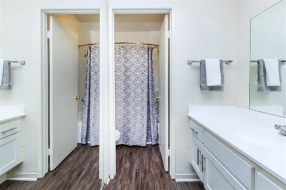 a bathroom with a sink and a shower