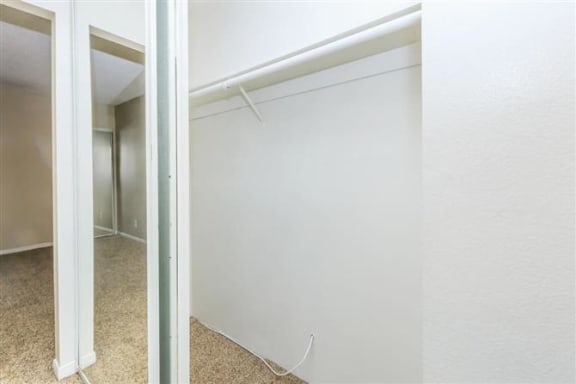 a room with a mirror and a closet