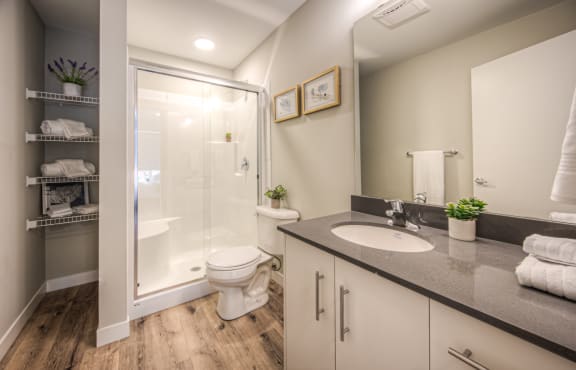 a bathroom with a shower toilet and sink and a mirror