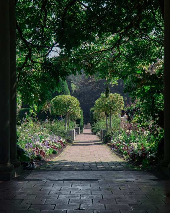 A pathway in a garden with trees and flowers on either side.