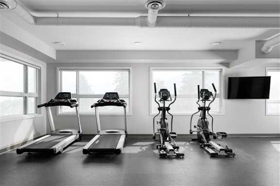 A row of treadmills and stationary bikes in a gym.