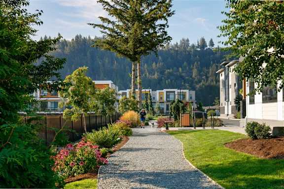 A gravel pathway leads through a landscaped area with a variety of plants and trees.