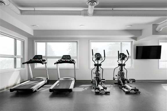 A row of treadmills and elliptical machines in a gym.