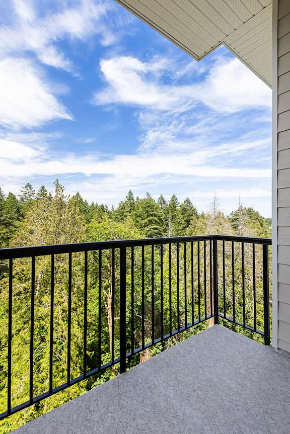 A balcony with a black railing overlooks a forest.
