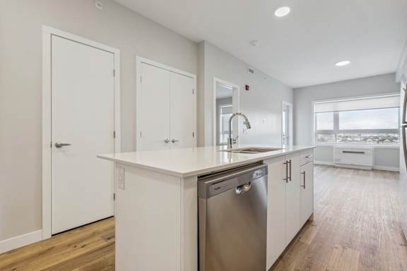 A modern kitchen with a dishwasher and a sink.