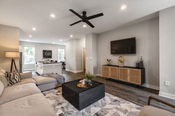 Modern Living Area at Oakbrook Townhomes, Tennessee, 37067