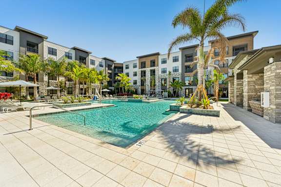 A swimming pool surrounded by palm trees and buildings. at The Concord Luxury Apartments, Sarasota, FL, 34240