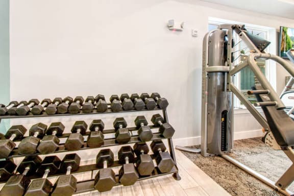 a gym with weights on a rack in a room at Watermark at Urban Blu, Florida, 32407