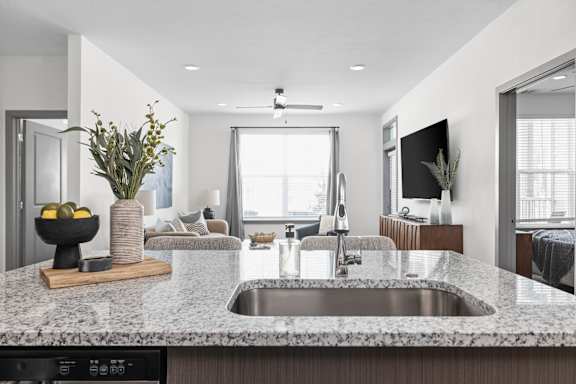 A modern kitchen with a granite countertop and a stainless steel sink at Standard441 Luxury Apartments, Lady Lake