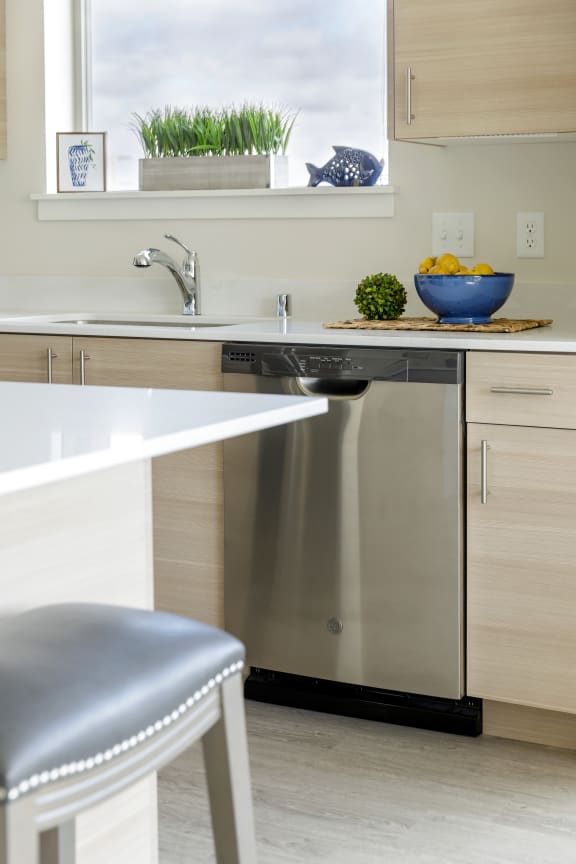 Kitchen Dishwasher at Harbor Heights 55&#x2B; Community, Washington