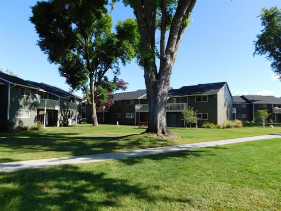 The Chalet apartments in Springfield, OR with trees and a greenbeltgrass and trees in front of them
