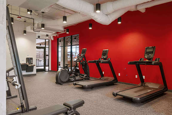 A gym with treadmills, a weight machine, and a squat rack.