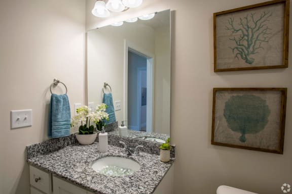 bathroom  at The Retreat at Sixty-Eight Apartments, North Carolina