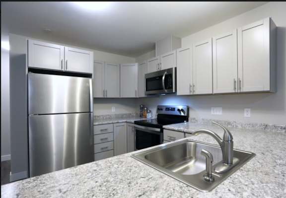 Cook in Style—Modern Kitchen Featuring Stainless Steel Appliances and Sleek Cabinetry