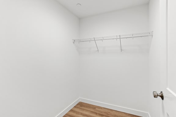 Spacious Entryway Closet