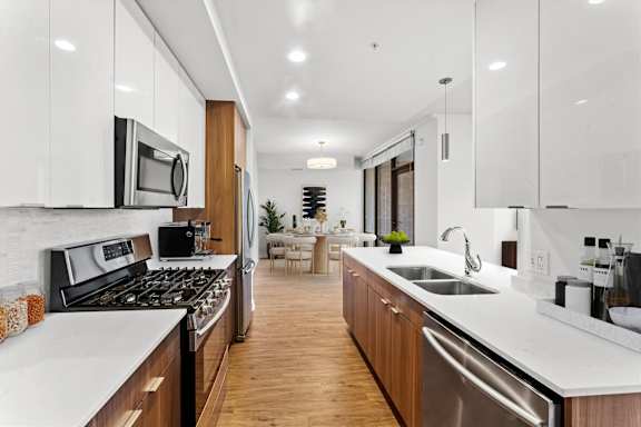 Built in quiet dishwasher at Chateau on Wells, Illinois, 60654