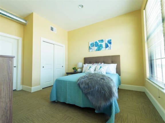 apartment for rent, Warren, Providence, Boston, 1 bedroom, 2 bedroom, 3 bedroom, luxury apartment, pet friendly, waterfront apartment