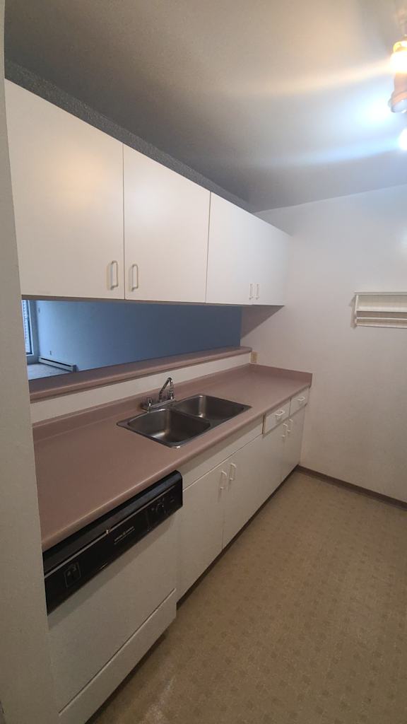 an empty kitchen with a sink and dishwasher