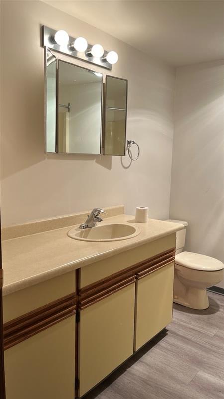 A bathroom with a sink, toilet, and mirror.