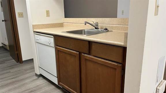A kitchen with a white dishwasher and a sink.
