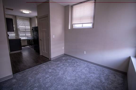 A room with a grey carpet and a window with blinds.