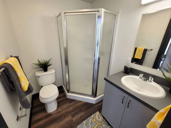 a bathroom with a shower and a toilet and a sink