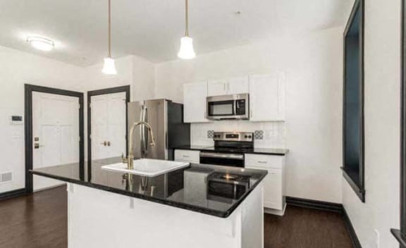 FOX 301 - kitchen
