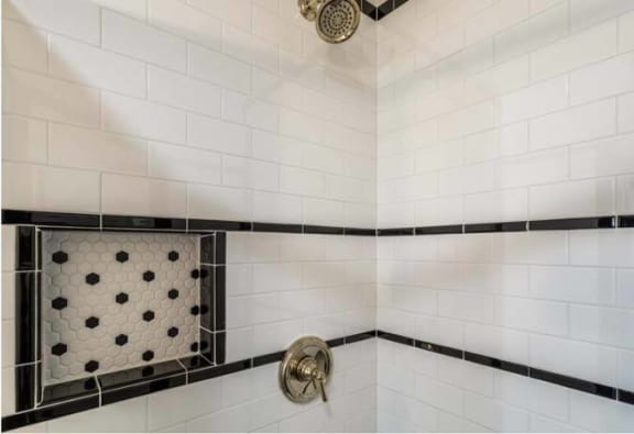 FOX 301 - bathroom