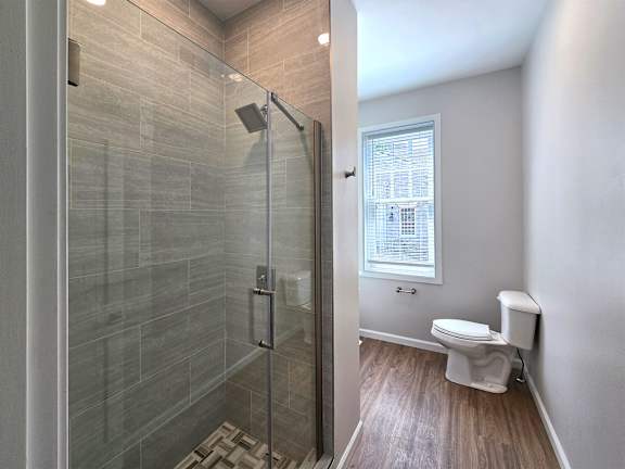 A bathroom with a walk-in shower and a toilet.