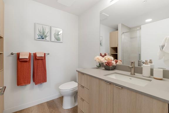 a bathroom with a sink and a toilet and a mirror