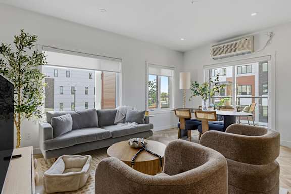 A living room with a grey couch, a coffee table, and a potted plant.