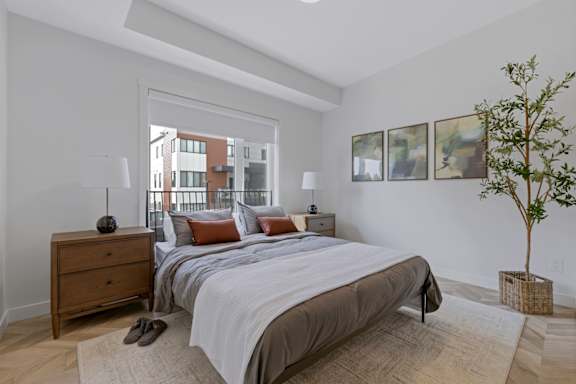 A bedroom with a large bed, a nightstand, and a plant.