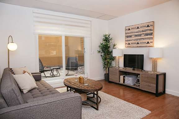 A living room with a grey couch, a coffee table, a television, and a plant.