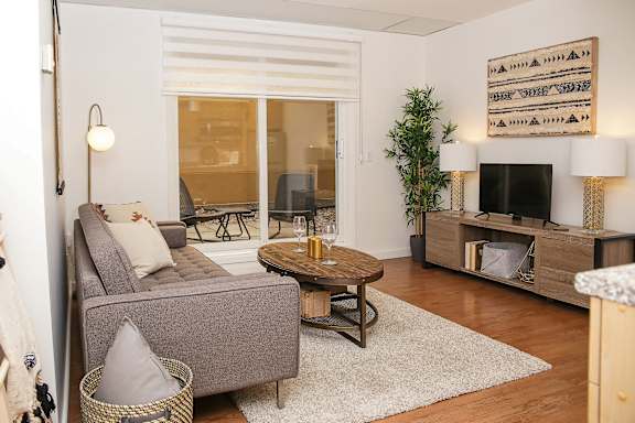 A living room with a grey couch, a coffee table, a TV, and a plant.