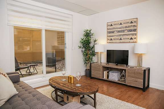 A living room with a grey couch, a wooden coffee table, a television, and a potted plant.