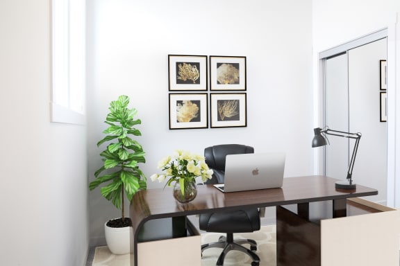3 bedroom apartments for rent