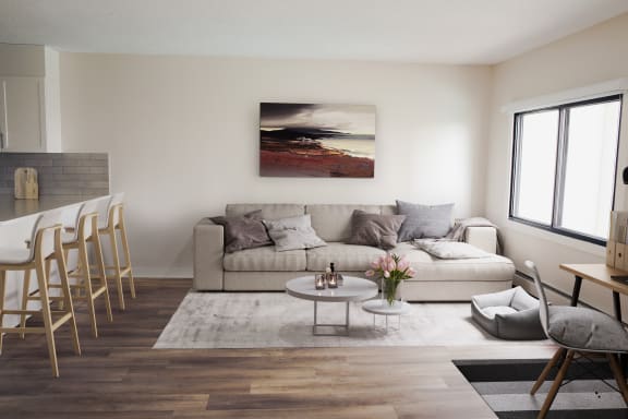 bachelor suite in edmonton