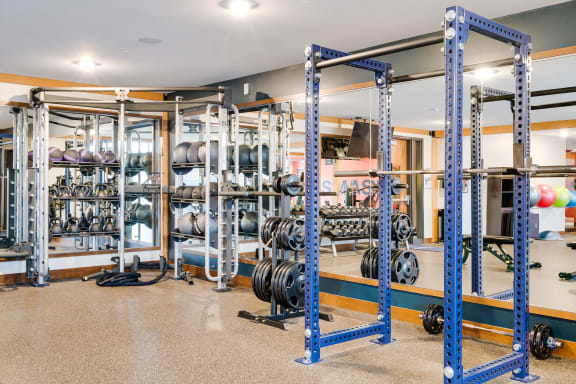 a gym with weights and racks of dumbbells