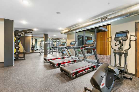 A gym with treadmills, elliptical machines, and other exercise equipment.