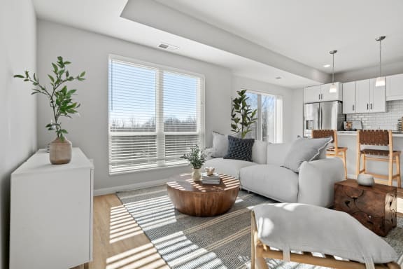a living room with a couch and a coffee table    and a kitchen